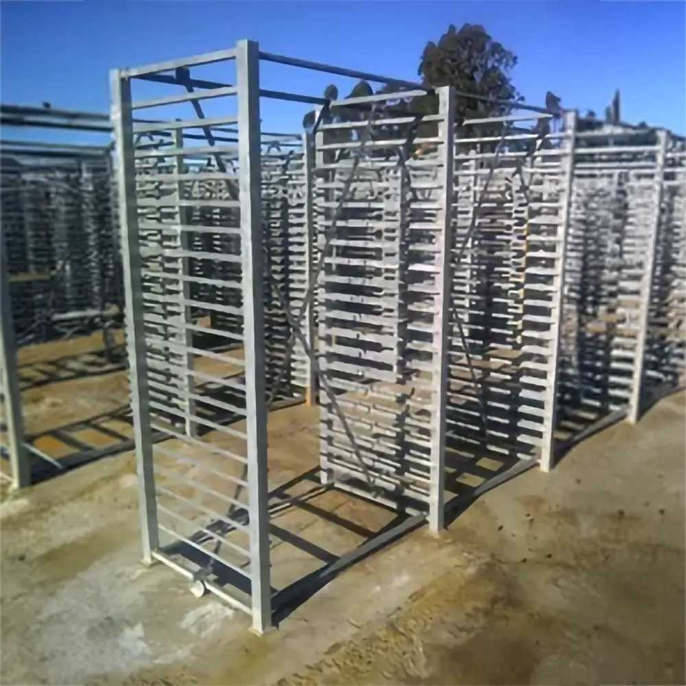 IMG-20120728-00508 || thumb 3