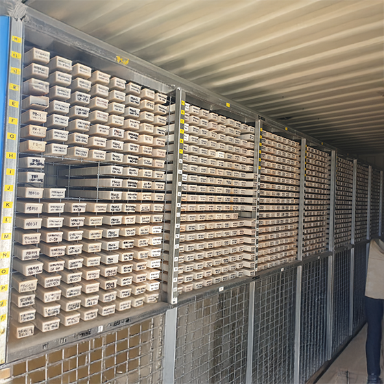 Image 1-Jul-02-2025-03-58-02-4977-AM || thumb 1