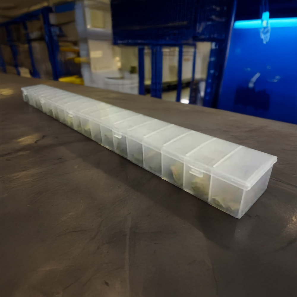 Image 1-Jul-02-2025-06-09-53-3489-AM || thumb 2